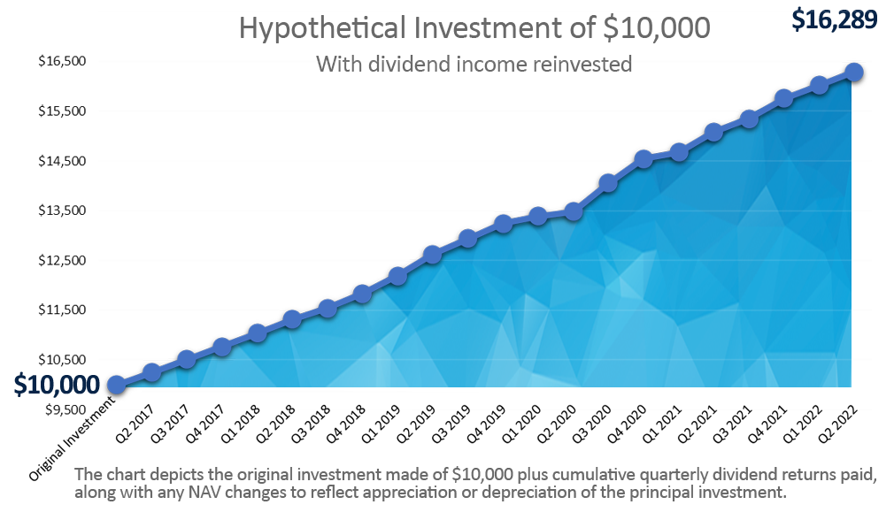 Dividend reinvestment (DRIP)